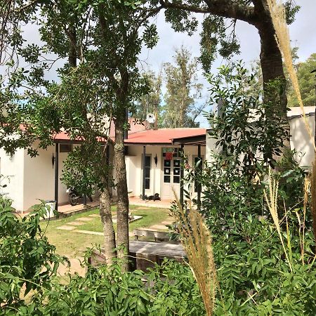 Hostel Punta Ballena Bar Экстерьер фото